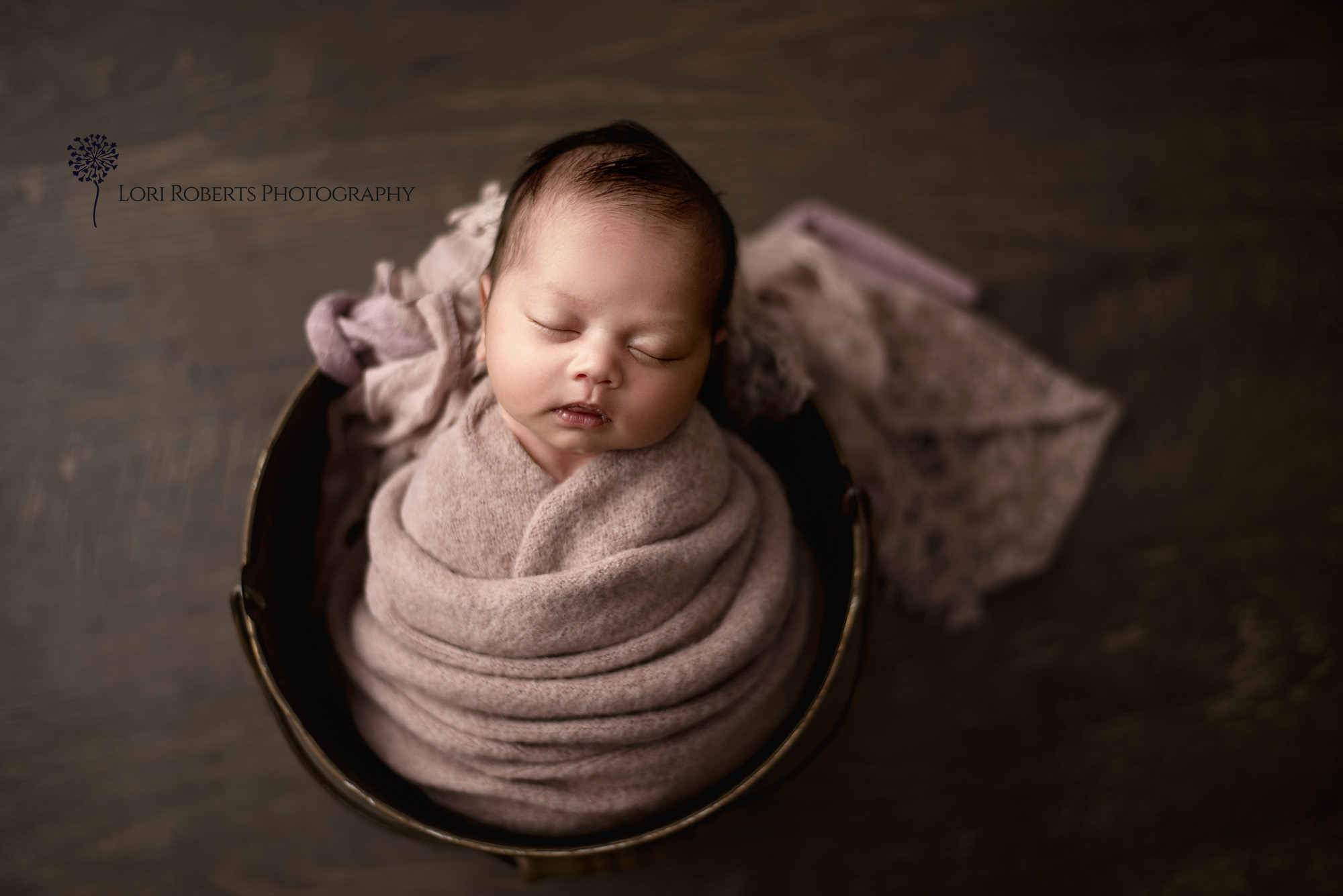 Ajax newborn photography