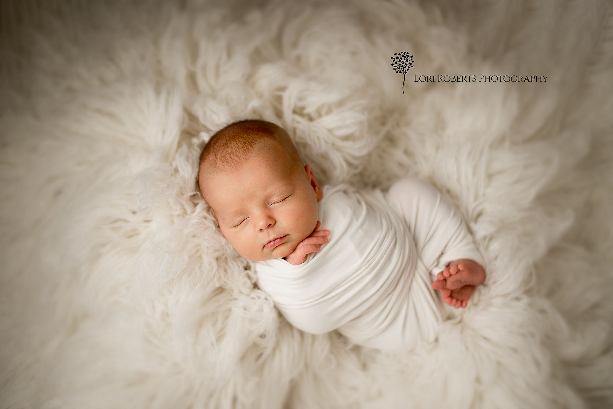 newborn photography whitby | Prop vendors