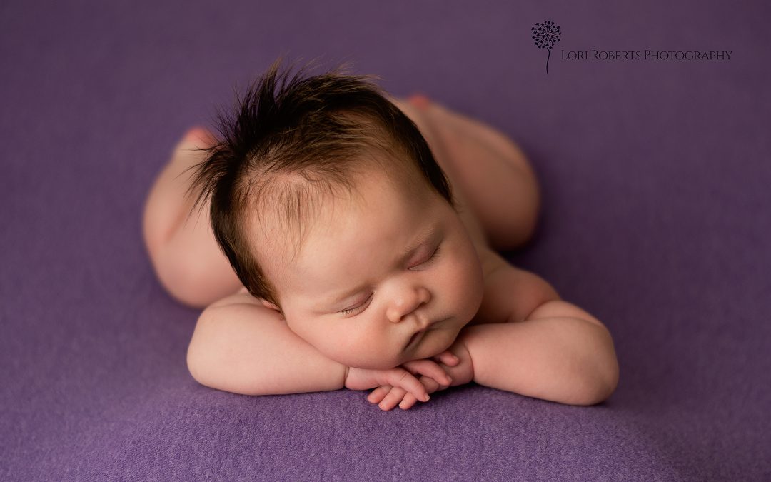 Posed Newborn Photos | Whitby Newborn Photographer | Reese